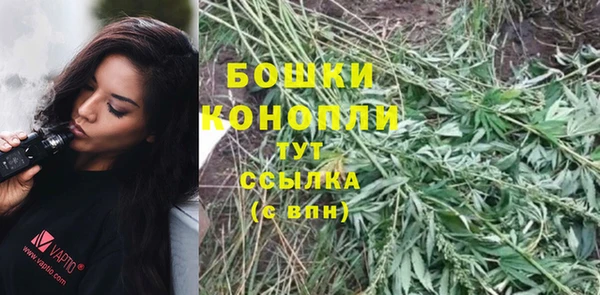 бошки Вязьма