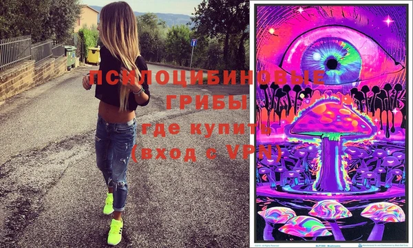 бошки Вязьма