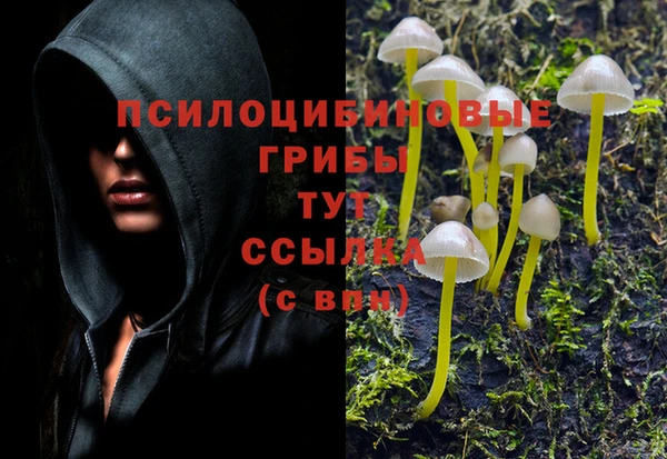 альфа пвп Сосновоборск